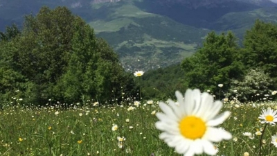 Որոշ մարզերում ջերմաստիճանը գիշերը 0–ից ցածր կլինի. եղանակի տեսություն