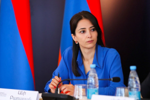 ՀՀ ԱԳ փոխնախարարը հստակ մերժել է երրորդ սուբյեկտի կողմից «վերահսկողության» եզրույթը․ պարզաբանում