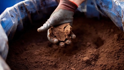 Սուրճի մրուրը կարող է 30 տոկոսով բարձրացնել բետոնի ամրությունը. հետազոտություն