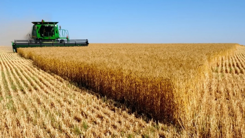 Պարենային ապրանքների համաշխարհային գների հենանիշը փոքր-ինչ նվազել է