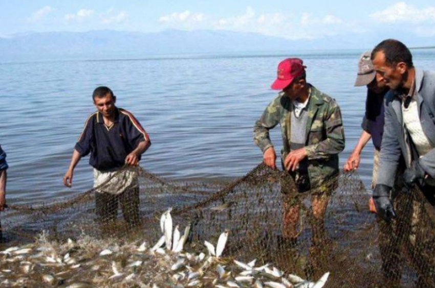 Սևանա լճում սիգի որսը արգելվում է մինչև փետրվարի 1-ը