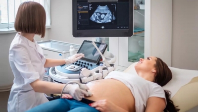 Ռուսաստանում ուսանողուհիներին կսկսեն վճարել հղիության համար