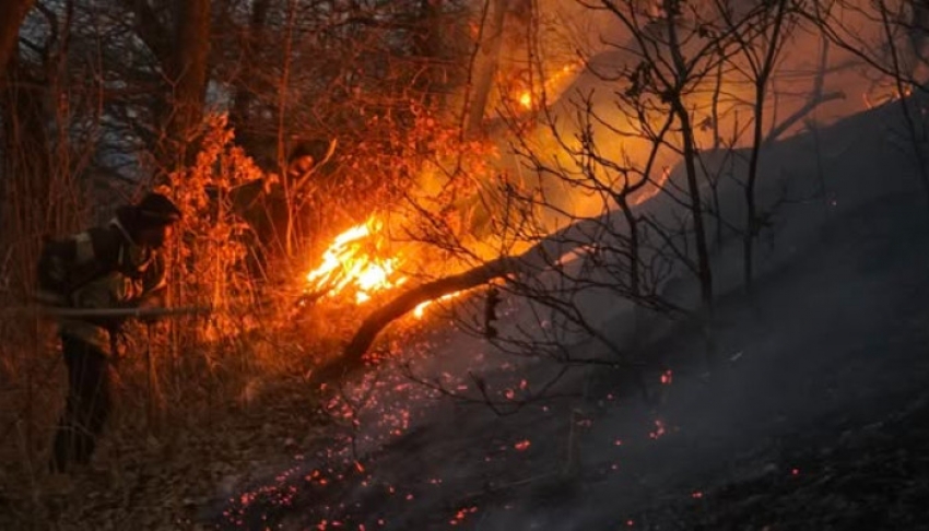 Ժամը 21:00-ի դրությամբ հրդեհաշիջման աշխատանքները շարունակվում են. ՆԳՆ ՓԾ