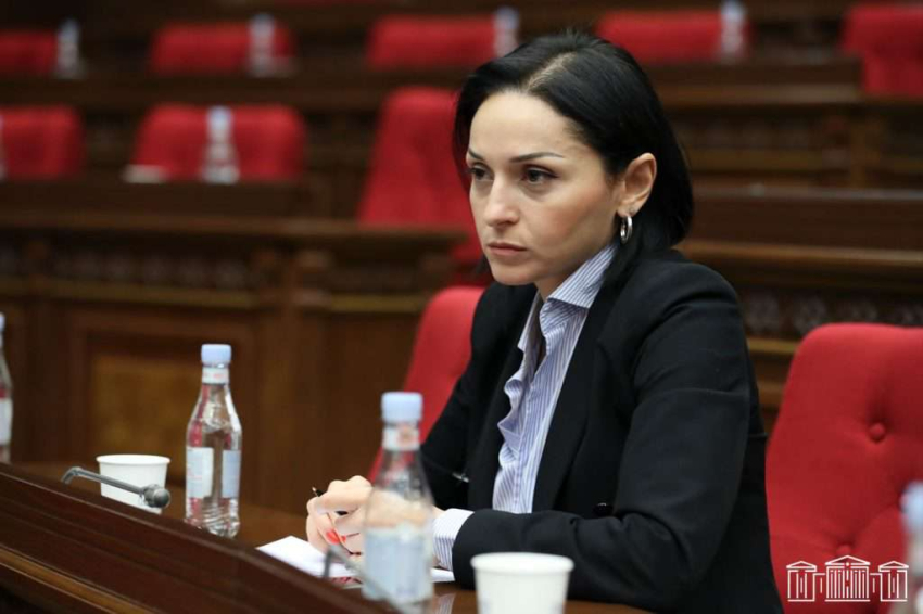 Իմ, Արուսյակ Մանավազյանի և Ալեն Սիմոնյանի հեղինակած նախագիծը տվեց իր առաջին արդյունքները. Վարդանյան