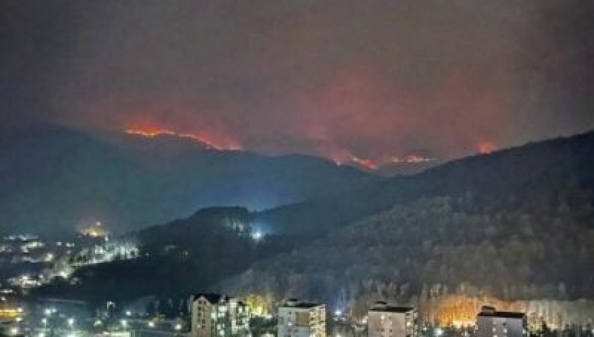 «Դիլիջան» ազգային պարկի տարածքում հրդեհն ավելի է ուժգնանում․ վտանգ կա, որ կրակը կհասնի Սեմյոնովկա․ Դանիելյան (վիդեո)