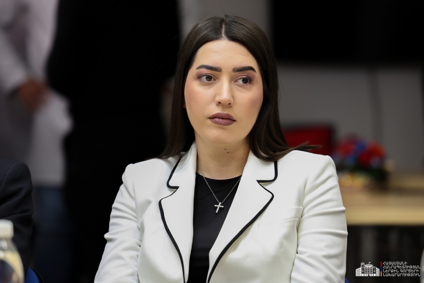 Մոլերում կբացվեն ՆԳՆ միգրացիայի և քաղաքացիության ծառայության գերժամանակակից գրասենյակներ․ Արփինե Սարգսյան. Տեսանյութ