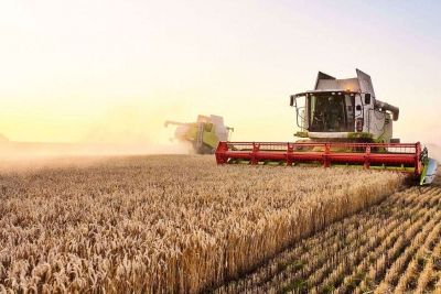 Մինչև 2026-ի հունվարի վերջը Ադրբեջանի և Վրաստանի տարածքով ՀՀ կհասնի 132 վագոն ցորեն. քննարկվում են նաև այլ բեռների մատակարարումներ․ ՌԴ տրանսպորտի նախարարություն