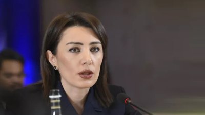 ԵՏՀ-ն կֆինանսավորի ԵԱՏՄ նախագծերը գյուղատնտեսության ոլորտում. նախարարը բացել է փակագծերը