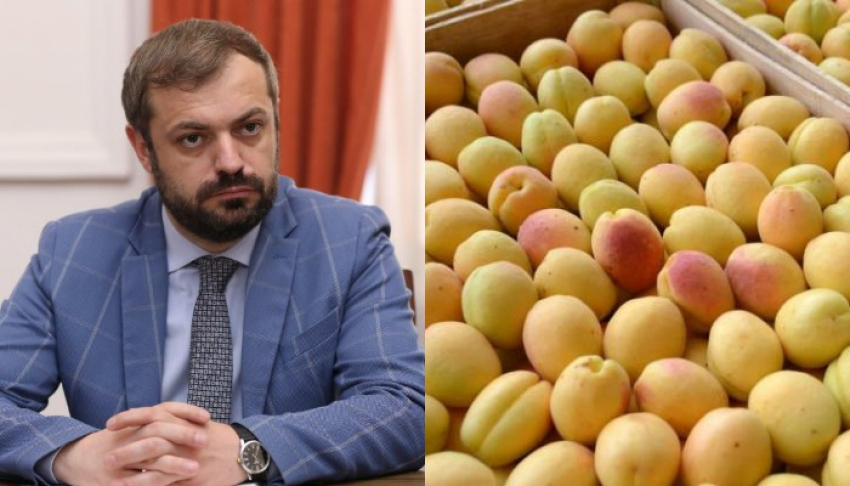 Այս ամսվա ընթացքում ՌԴ է մտել ծիրանով բեռնված ընդհանուր 720 բեռնատար
