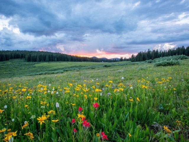 հավատ