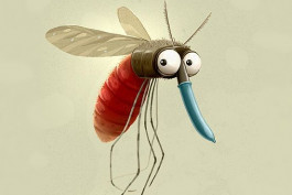 մոծակ